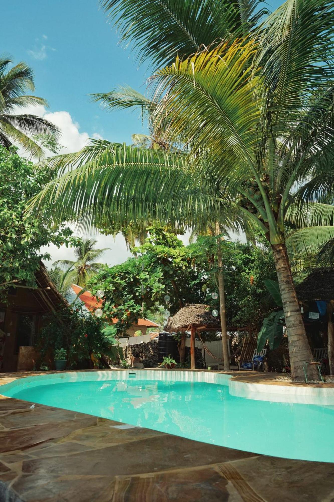 Ocean Boho House Bed & Breakfast Jambiani  Exterior photo