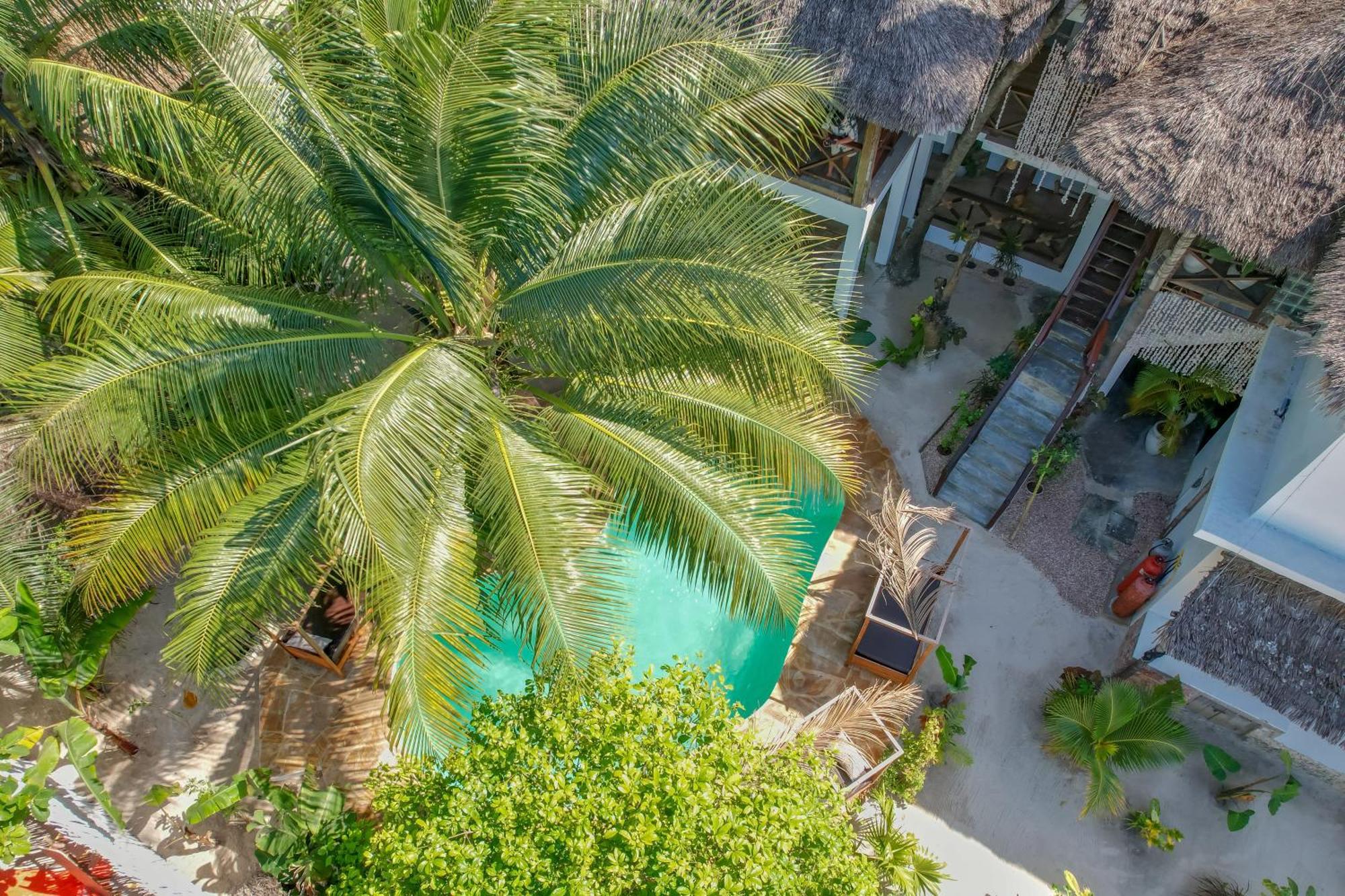 Ocean Boho House Bed & Breakfast Jambiani  Exterior photo